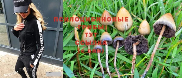 MESCALINE Нязепетровск