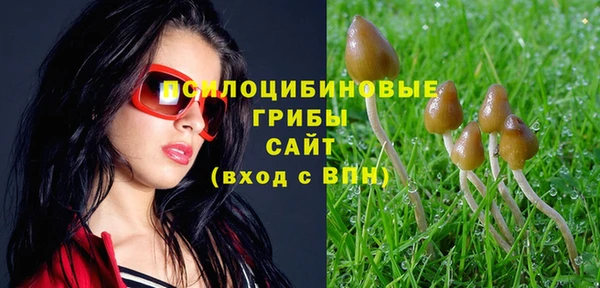 MDMA Premium VHQ Няндома