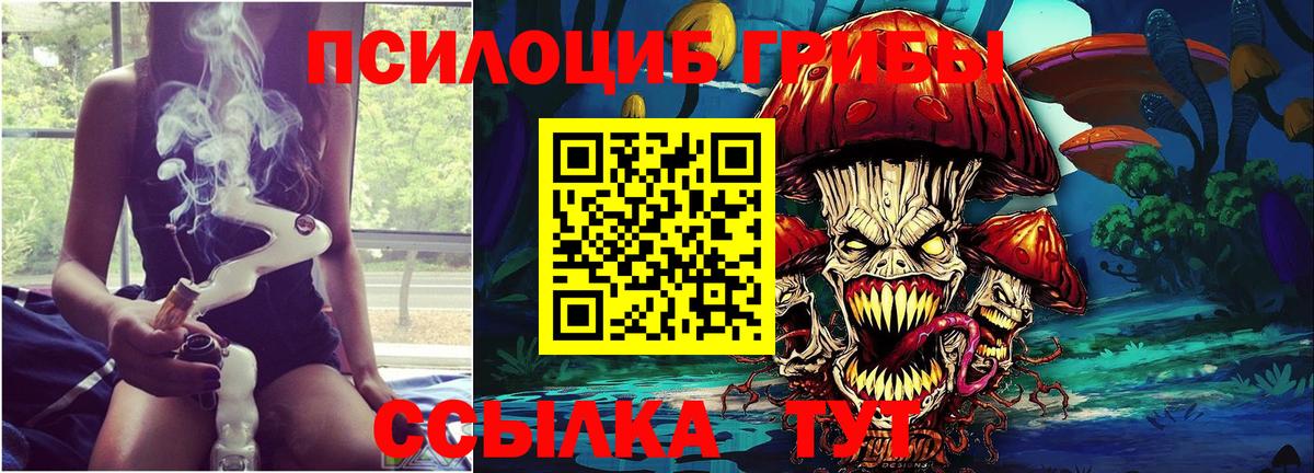 Псилоцибиновые грибы прущие грибы Вязьма