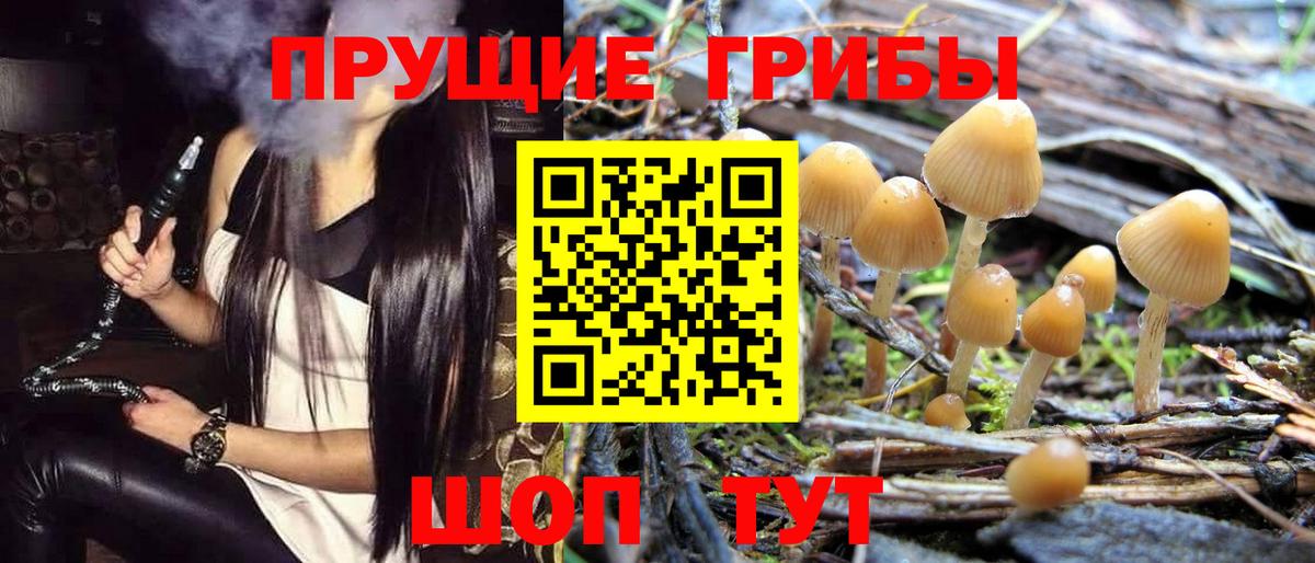 Псилоцибиновые грибы прущие грибы  Вход с VPN  купить  сайты  Вязьма 